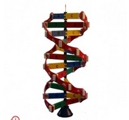 DNA Modeli Fiyatlar